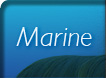 Marine