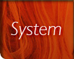 System