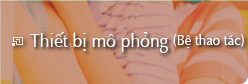 Thiết bị mô phỏng (Bệ thao tác)
