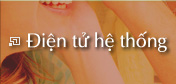 Điện tử hệ thống